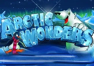 Arctic Wonders game cover